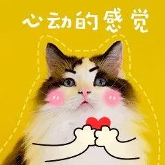 1594880528140567.jpg 10.jpg